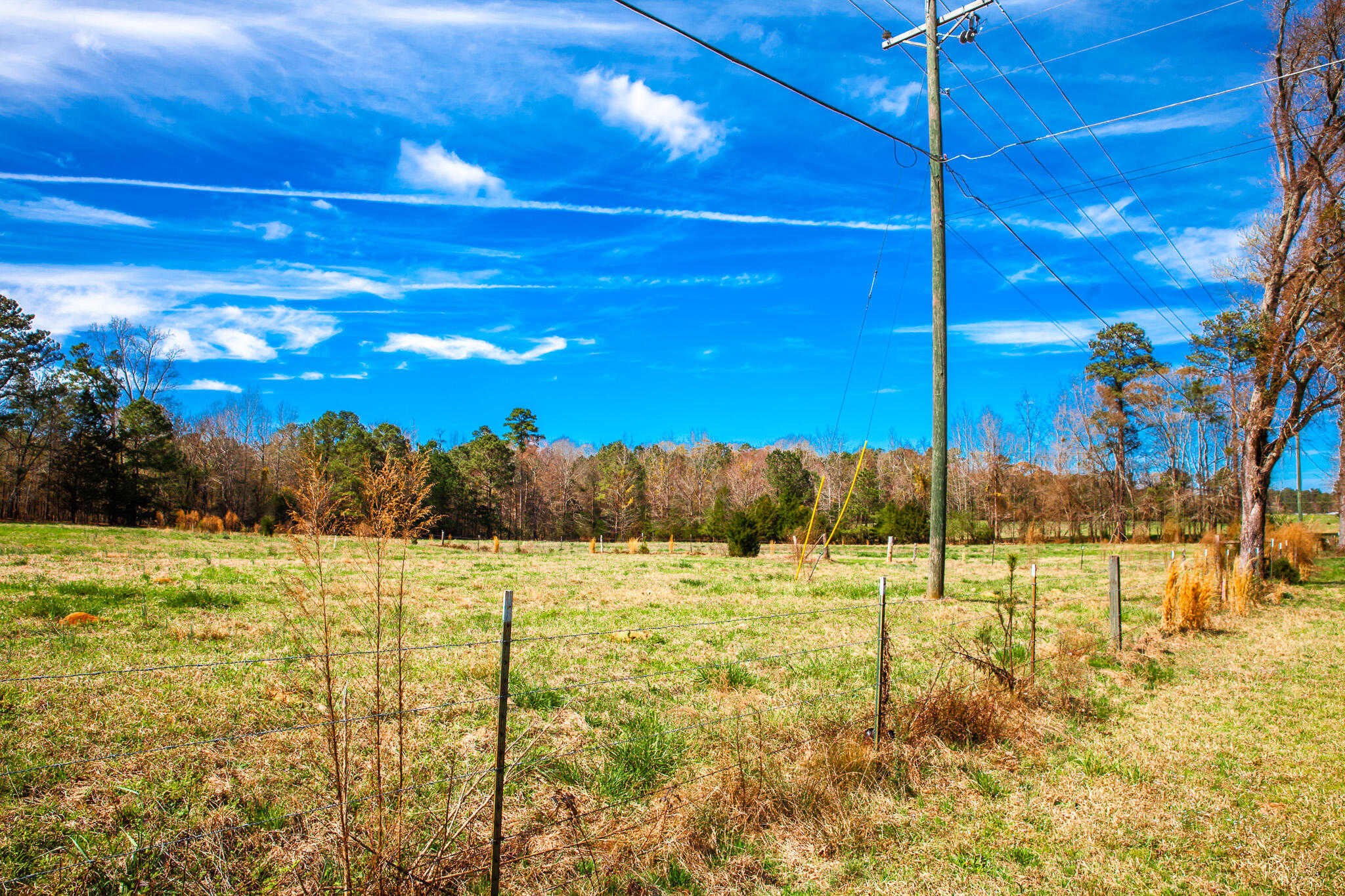 photo 2: LOT 5 MISTLETOE RD, Appling GA 30802