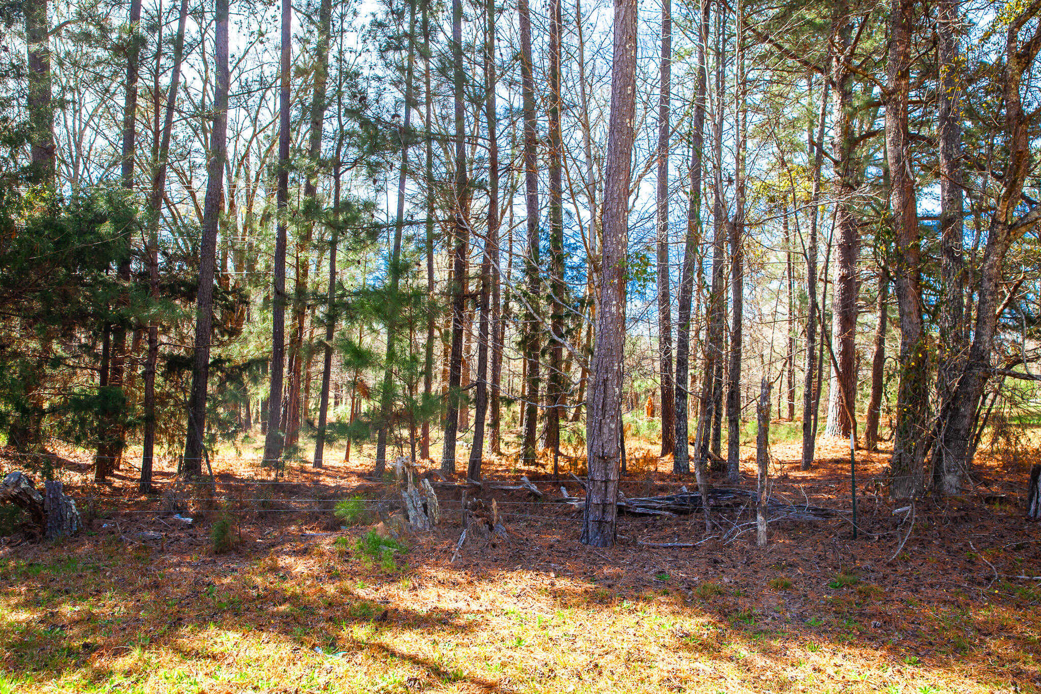 photo 1: LOT 7 MISTLETOE RD, Appling GA 30802