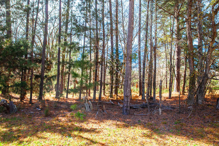 photo 1: LOT 7 MISTLETOE RD, Appling GA 30802