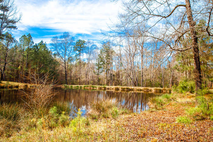 photo 9: LOT 7 MISTLETOE RD, Appling GA 30802