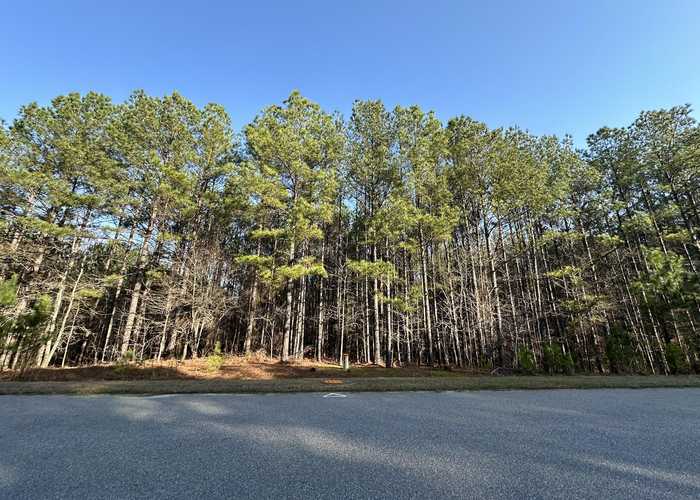 photo 1: 1147  1153 WATERSEDGE Cove, Tignall GA 30668