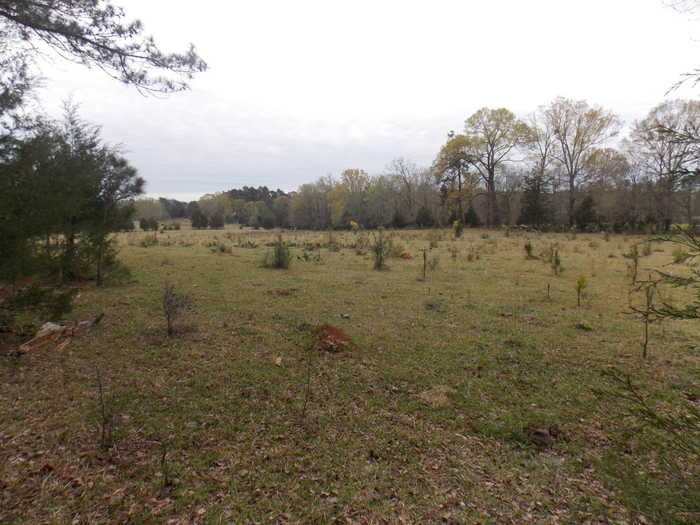 photo 1: 378 LINCOLNTON RD Road, Washington GA 30673