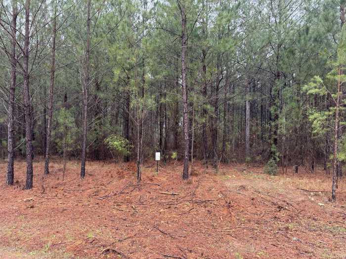 photo 1: 1060 LONGLEAF Way, Lincolnton GA 30817