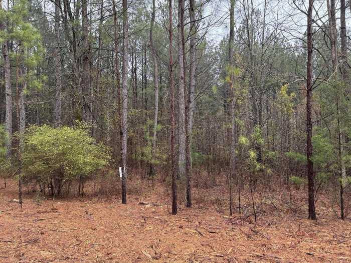 photo 1: 1094 LONGLEAF Way, Lincolnton GA 30817