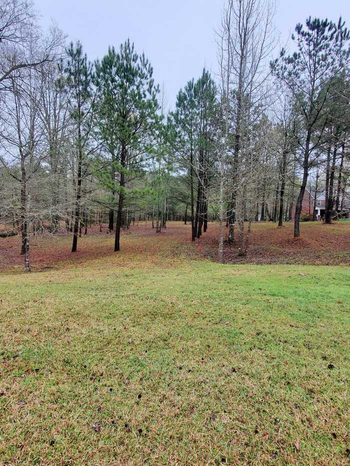 photo 2: N. POINT Court, Tignall GA 30668