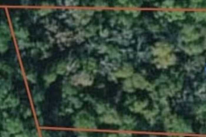 photo 1: LOT 40 STAPLETON ACRES Road, Stapleton GA 30823