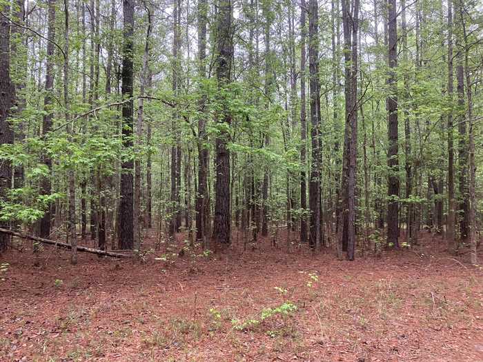 photo 2: GALES Road, Appling GA 30802