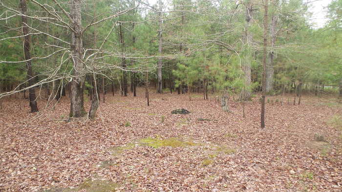 photo 1: LBK LBK Road, Tignall GA 30668