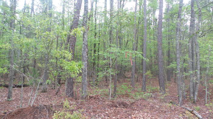 photo 8: LBK LBK Road, Tignall GA 30668