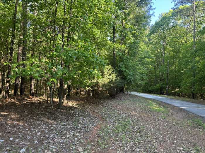 photo 1: RIDGE RD., Appling GA 30802