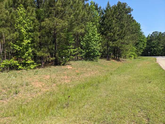 photo 1: LOT 51 WILLOW WAY, Lincolnton GA 30817