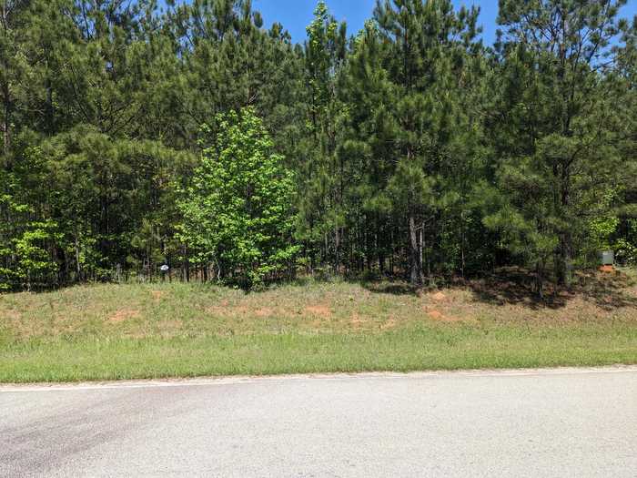 photo 2: LOT 51 WILLOW WAY, Lincolnton GA 30817