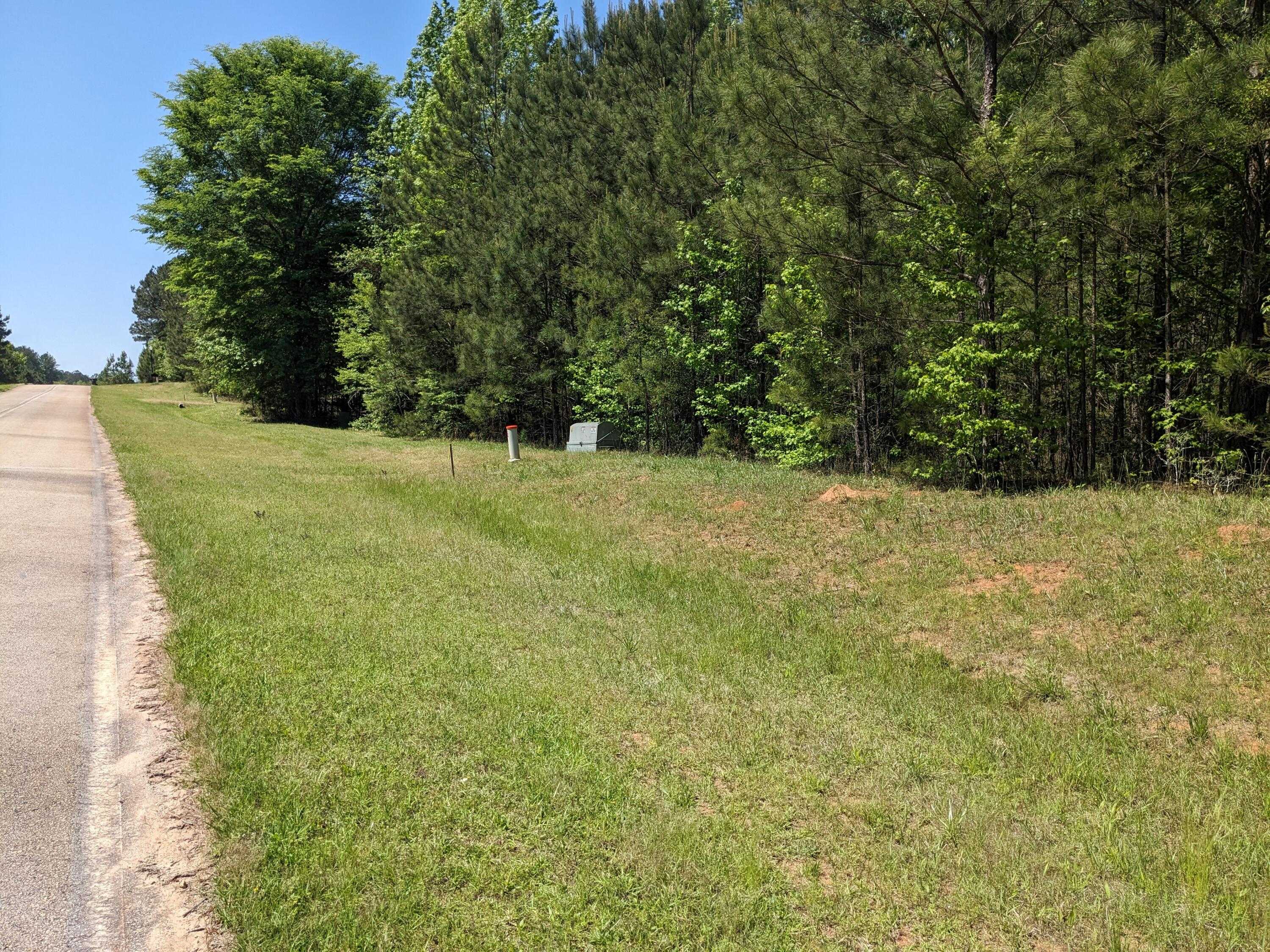 photo 3: LOT 51 WILLOW WAY, Lincolnton GA 30817