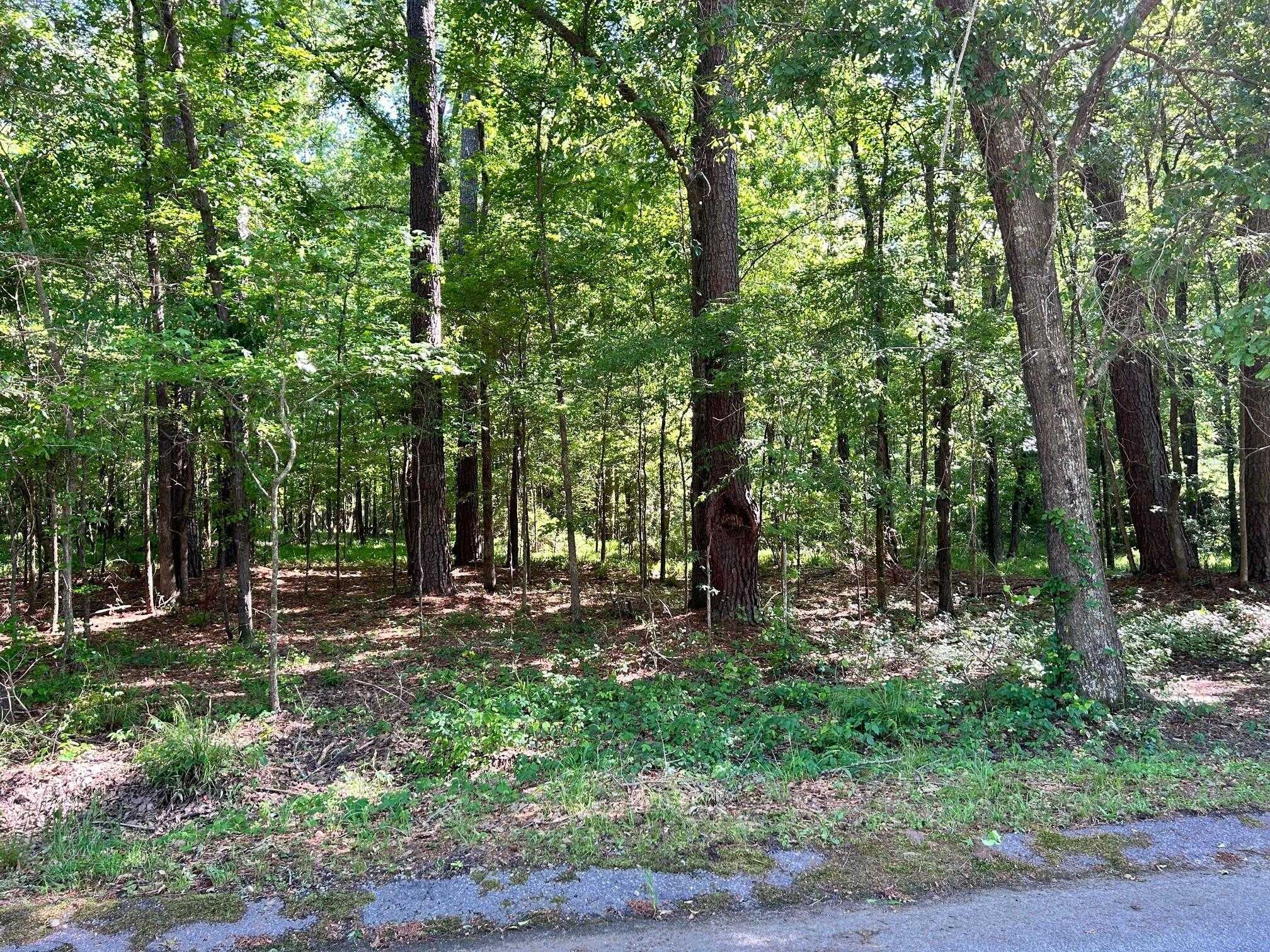 photo 2: 1 WILDWOOD Drive, Evans GA 30809