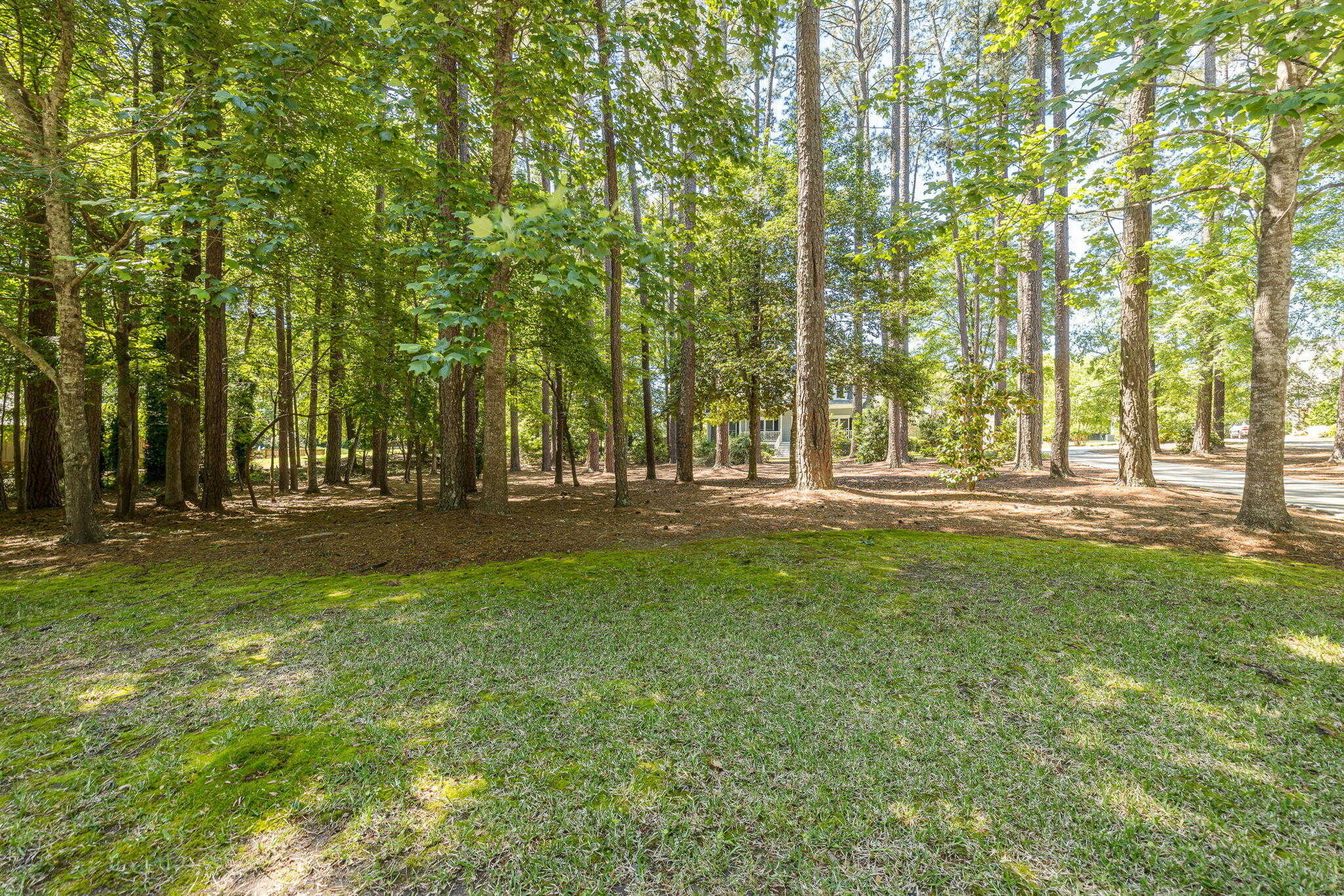 photo 3: 4274 DEERWOOD Lane, Evans GA 30809