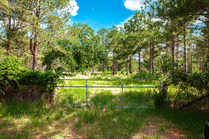 photo 2: LOT A BILL DORN Road, Appling GA 30802