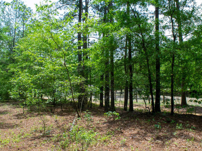 photo 20: LAMPP Road, Gibson GA 30810