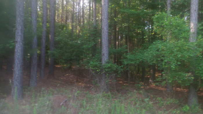 photo 1: 1077 PINE POINT Lane, Tignall GA 30668