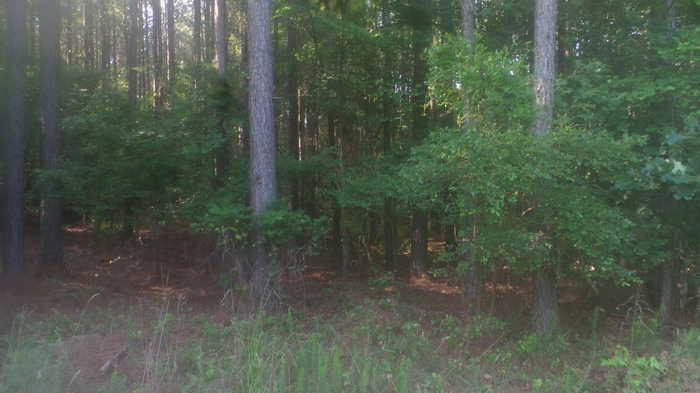 photo 2: 1077 PINE POINT Lane, Tignall GA 30668