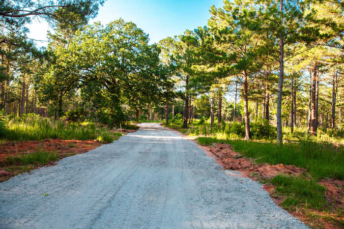 photo 4: LOT C BILL DORN Road, Appling GA 30802