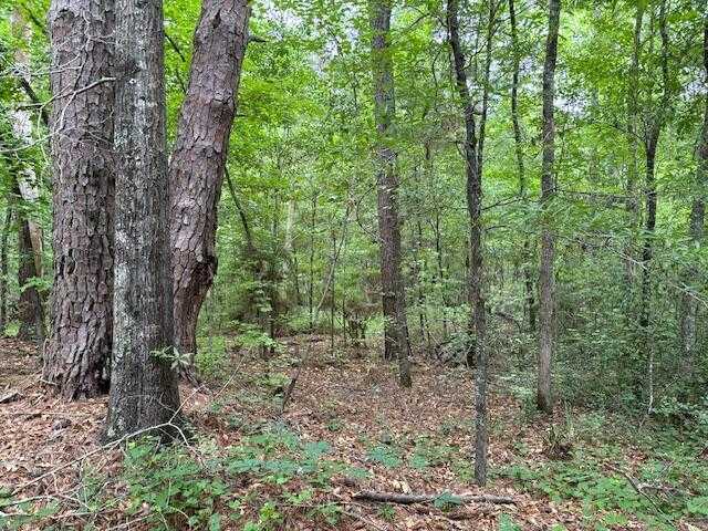 photo 1: BUENA VISTA Road, Warrenton GA 30828