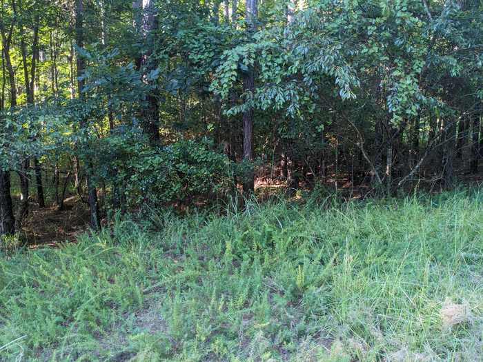 photo 2: LOT 24 SAVANNAH RIDGE Road, Lincolnton GA 30817