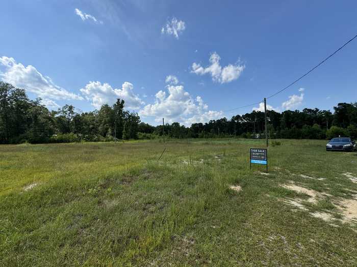 photo 1: LOT 51 BROWER LANE, Sardis GA 30456