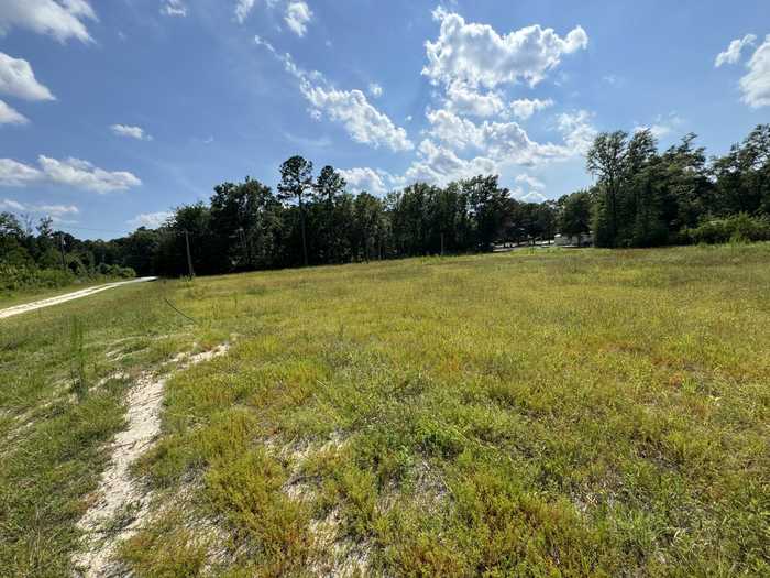 photo 1: LOT 52 BROWER LANE, Sardis GA 30456