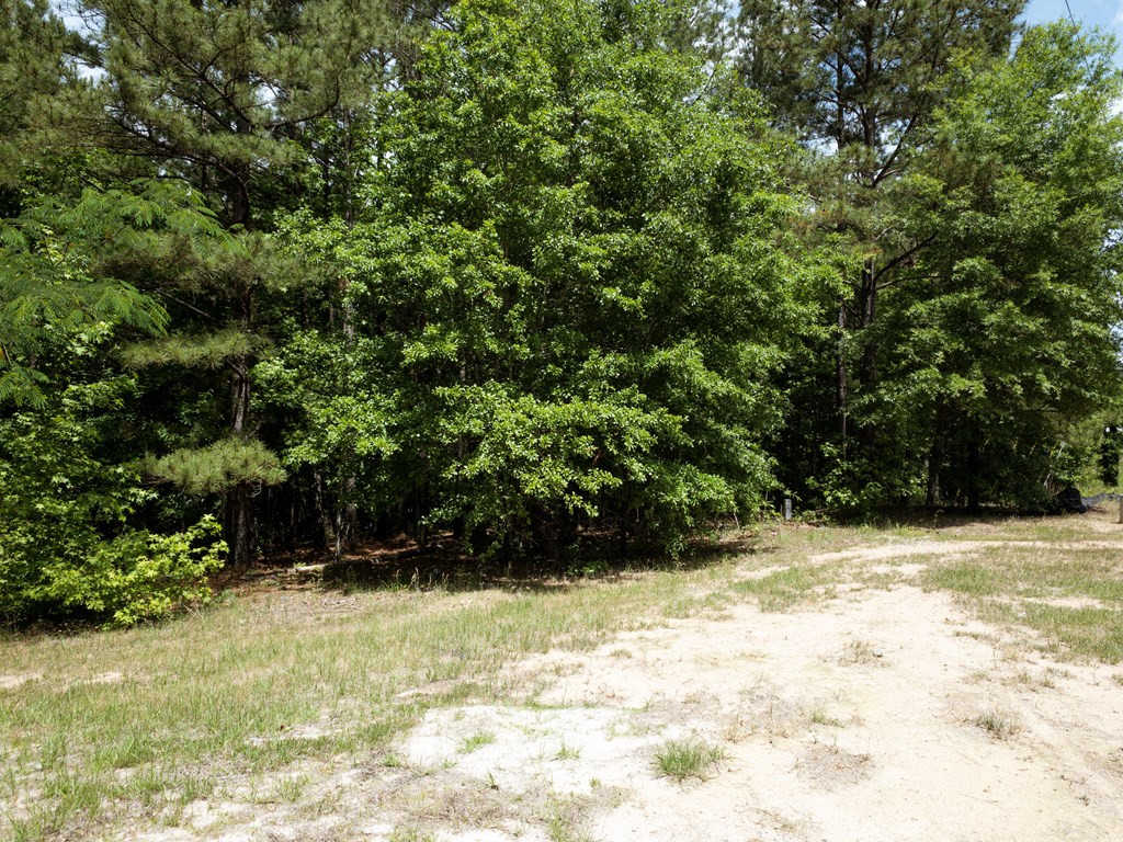 photo 2: 4995 HARDY MCMANUS Road, Evans GA 30809