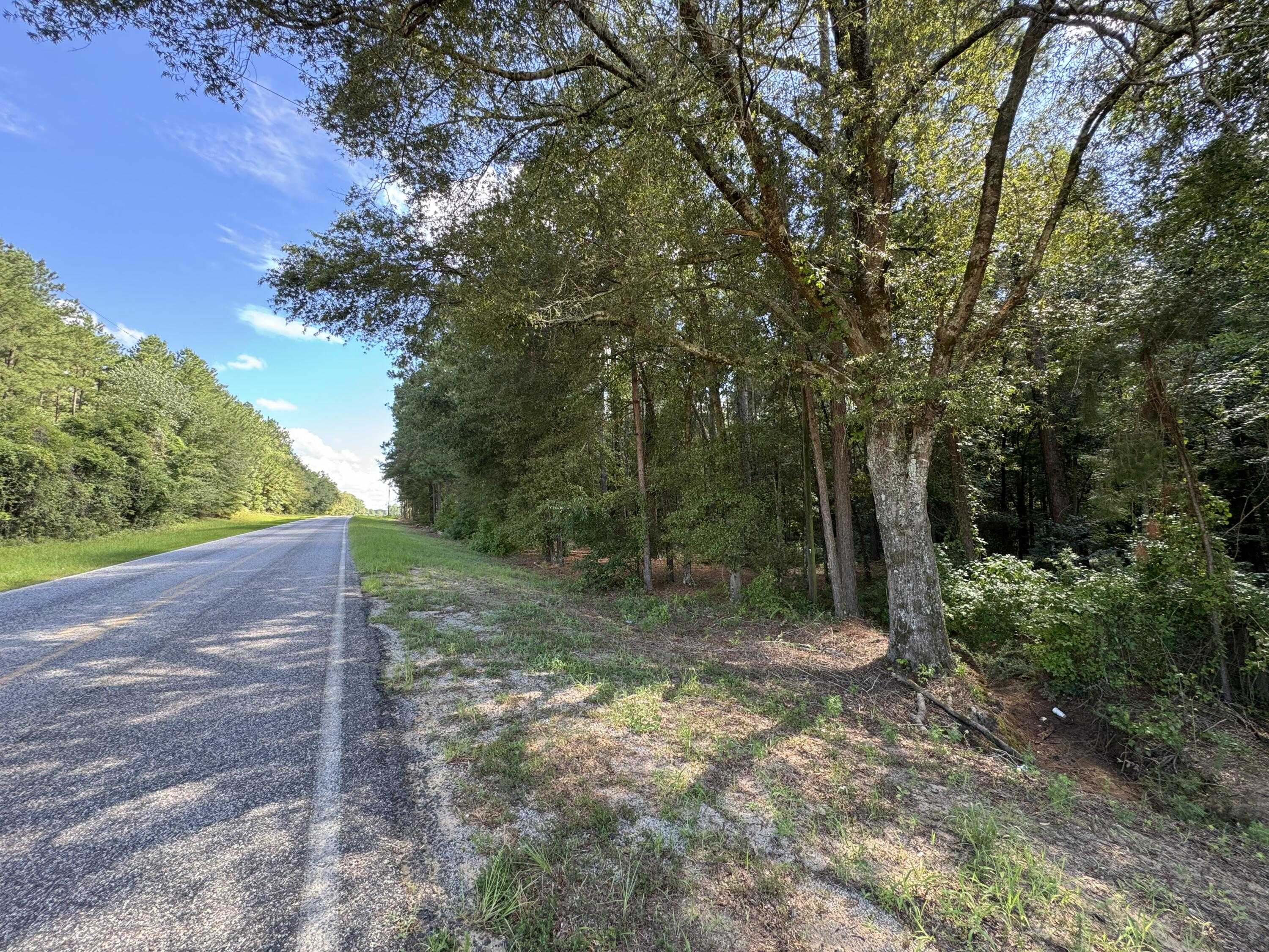 photo 2: PORTER CARSELL RD, Waynesboro GA 30830