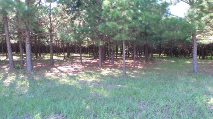 photo 2: GREENBRIAR Drive, Lincolnton GA 30817