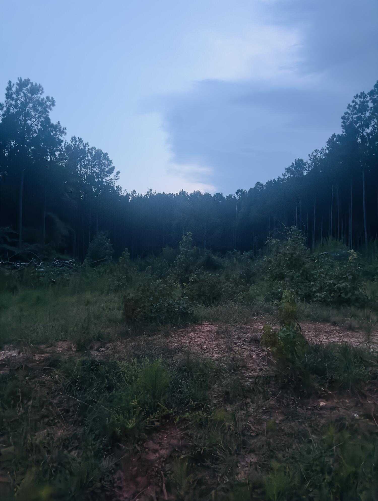 photo 3: LOT 14 WISTERIA Drive, Lincolnton GA 30817