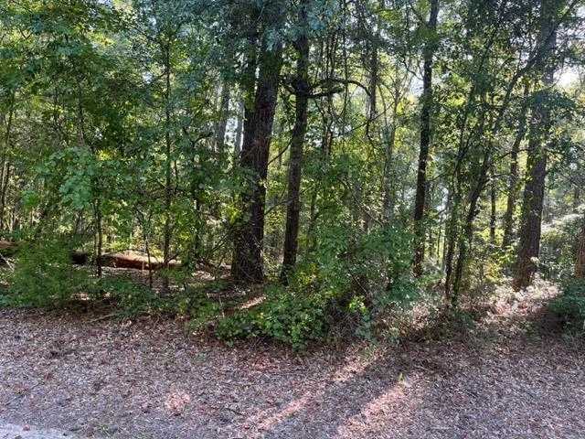 photo 3: HWY 220, Lincolnton GA 30817