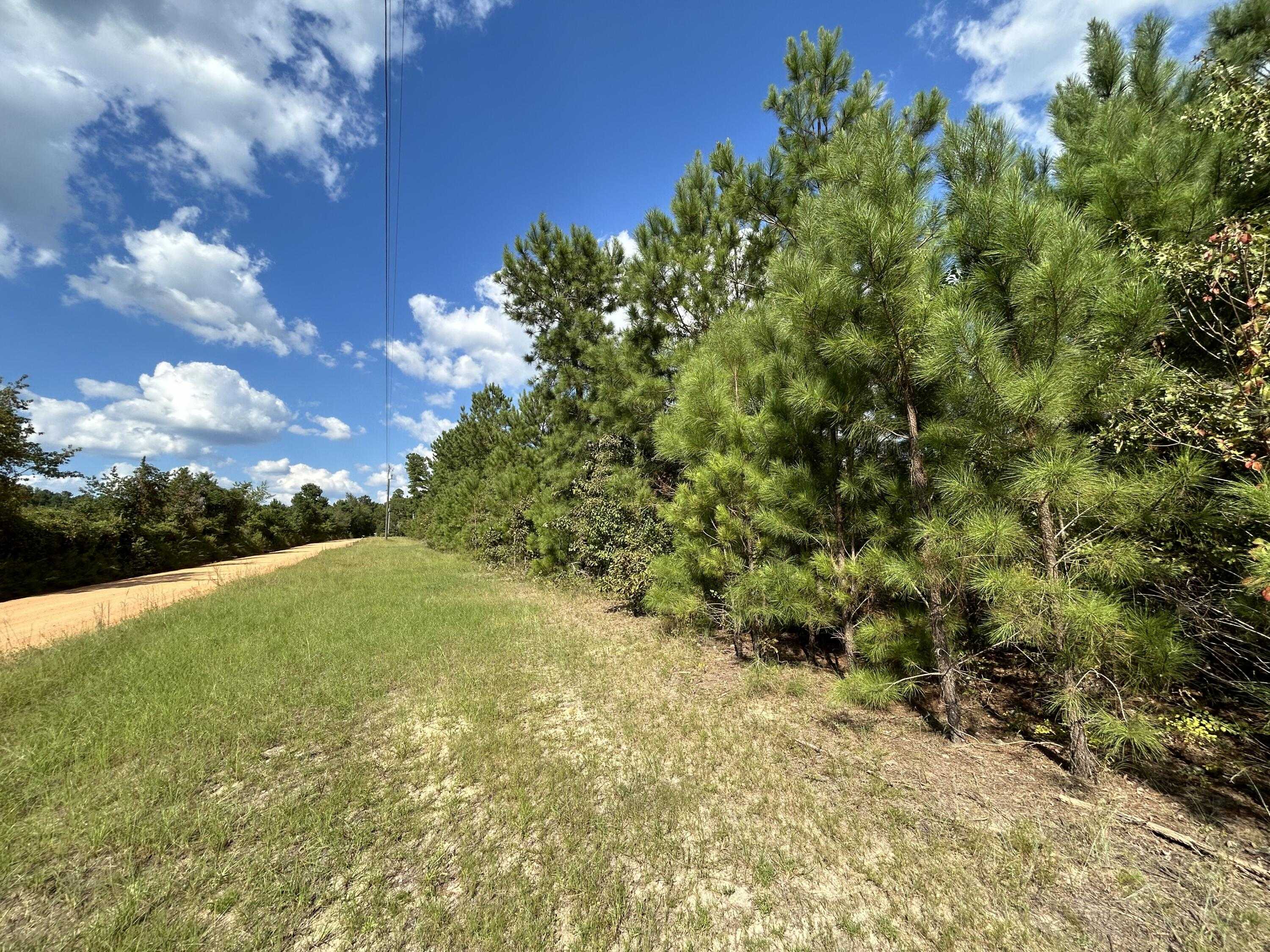 photo 3: GOETT Road, Dearing GA 30808