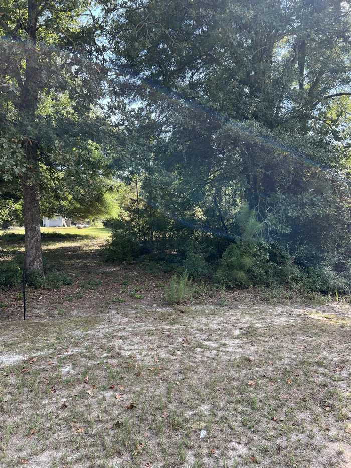 photo 3: 4706 ROLLINS Road, Augusta GA 30906