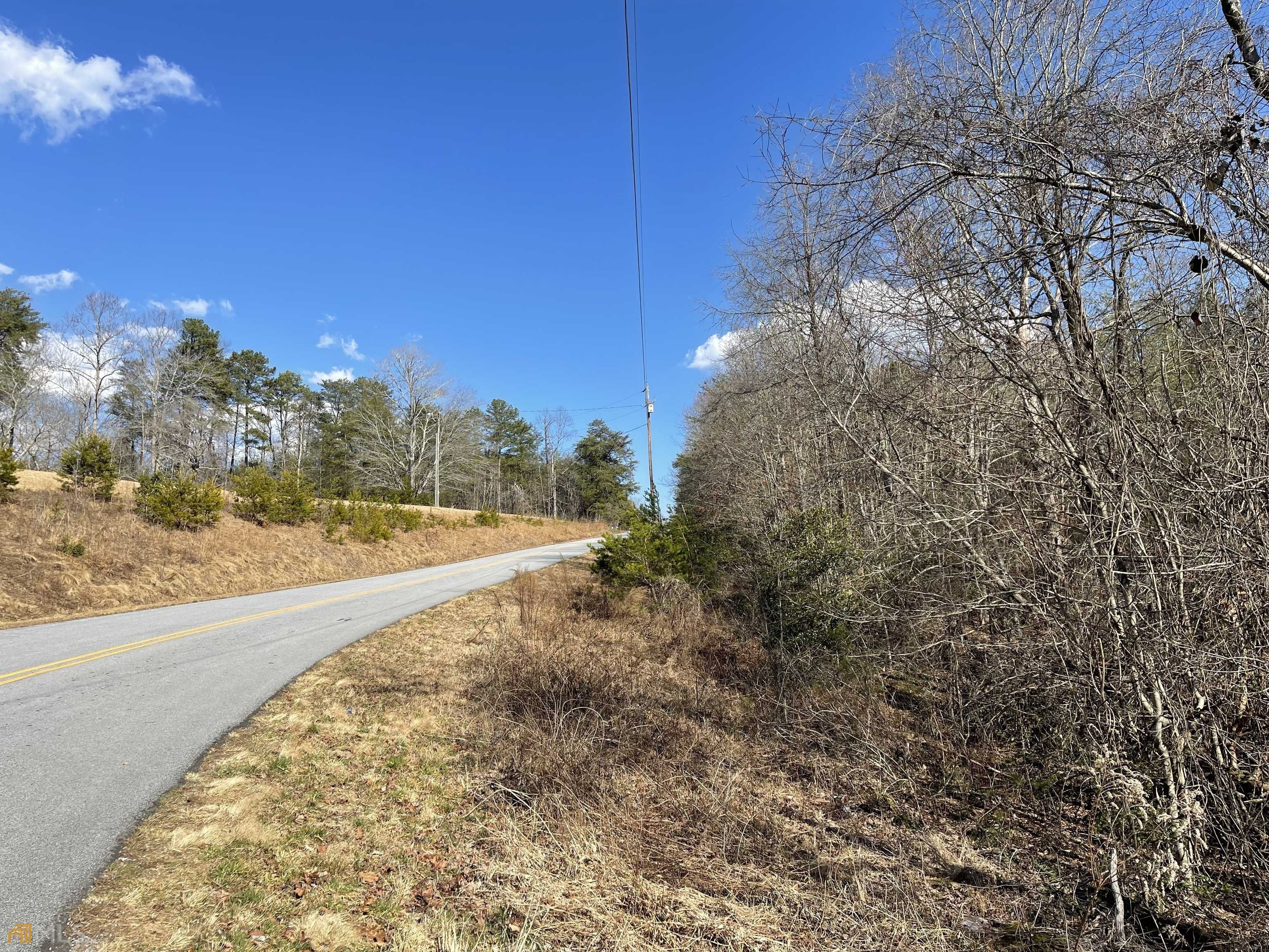 photo 1: Ben Jones Road, Clarkesville GA 30523