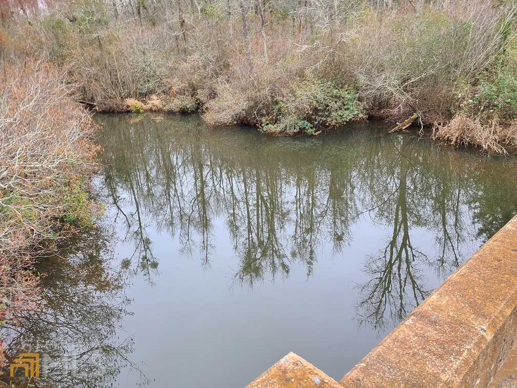 photo 1: Willow Lake Road, Fort Valley GA 31030