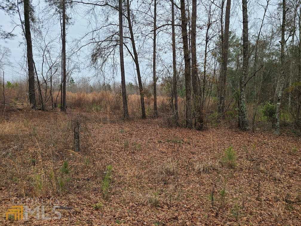 photo 2: Willow Lake Road, Fort Valley GA 31030