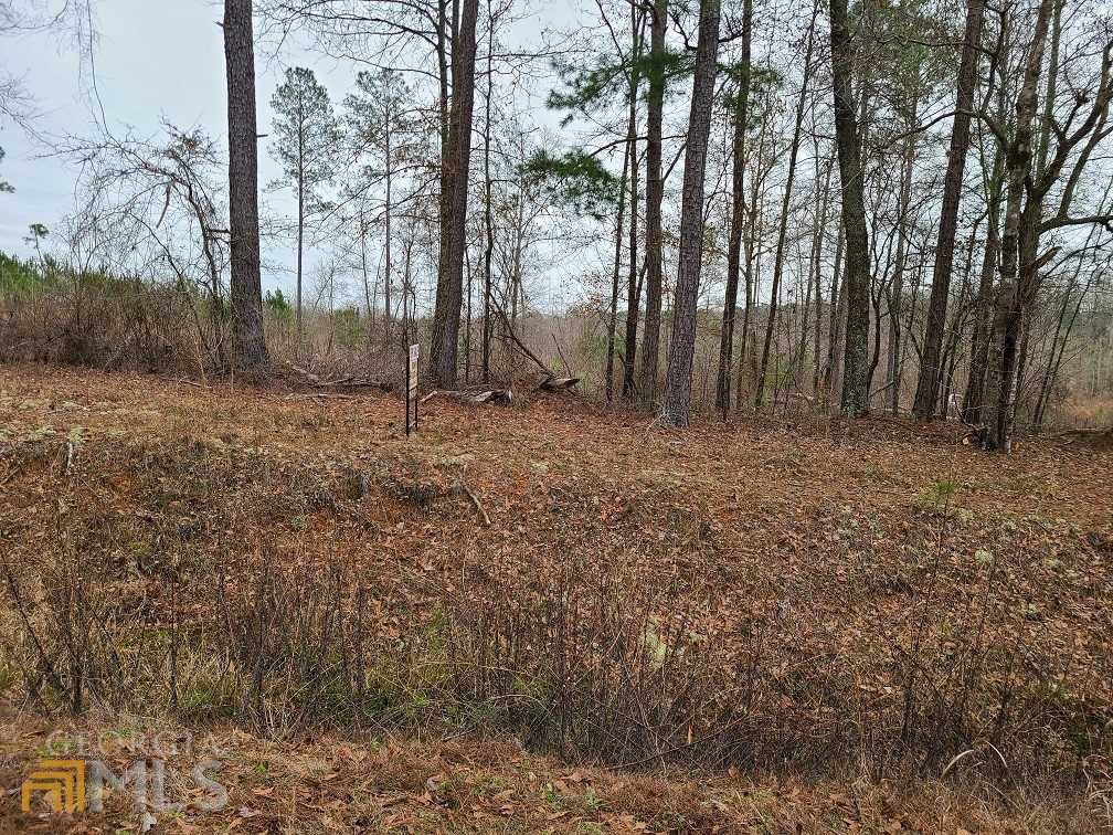 photo 3: Willow Lake Road, Fort Valley GA 31030