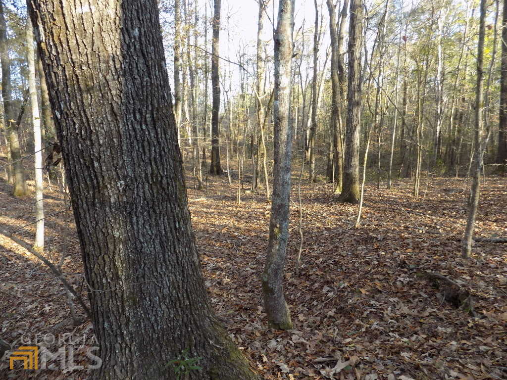 photo 2: Pierce Road, Waverly Hall GA 31831