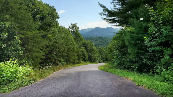 photo 2: 207 Shake Hollow Drive Road, Rabun Gap GA 30568