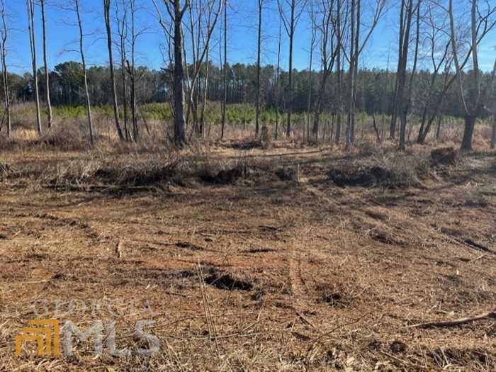 photo 2: Attaway Road Tract 11 SW Unit 11, Roopville GA 30170