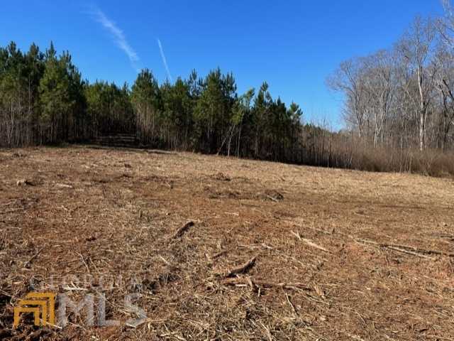 photo 3: Attaway Road Tract 11 SW Unit 11, Roopville GA 30170