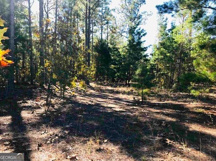 photo 2: 245 Dog Track Road, Mauk GA 31058