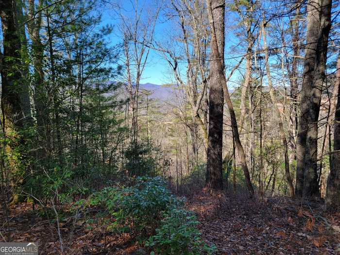 photo 1: Shake Hollow, Rabun Gap GA 30568