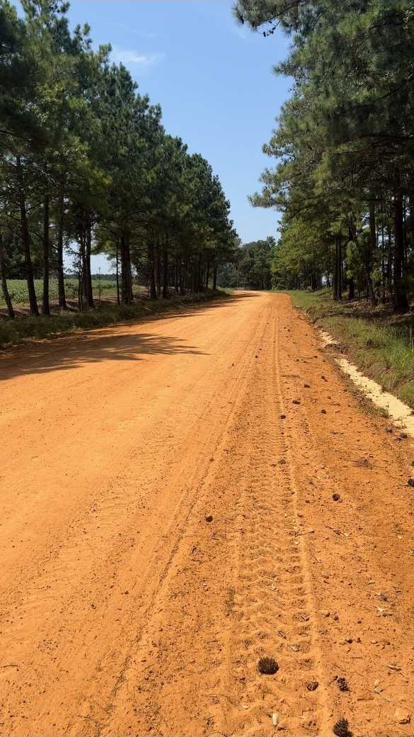 photo 3: Tony Nevil Road, Register GA 30452