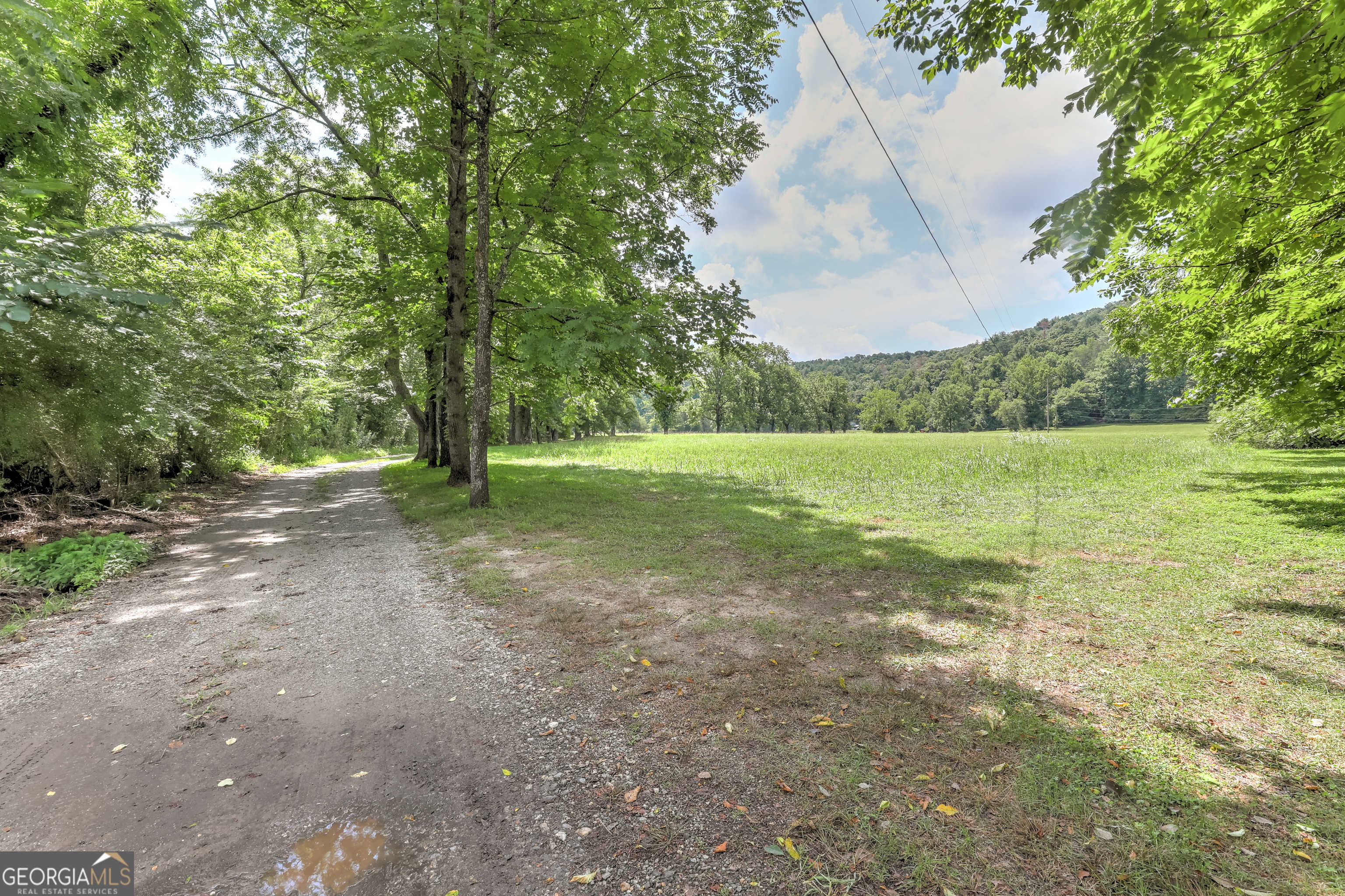 photo 3: 220 Sal Mountain River Road, Sautee Nacoochee GA 30571