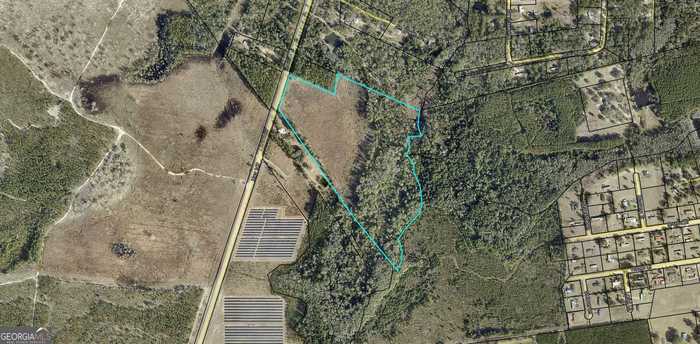 photo 1: 35.64 AC Highway 147, Reidsville GA 30453