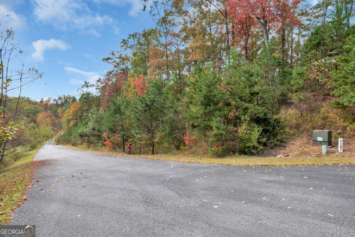 photo 2: LOT 12 Rockhouse Crossing, DemoreST GA 30535