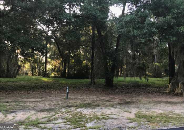 photo 1: LOT 423 Coopers Landing Drive, Townsend GA 31331